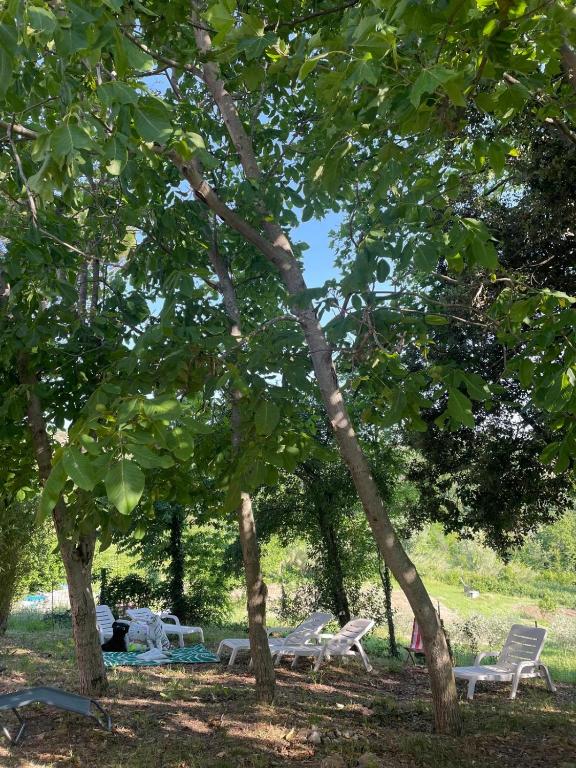 Bellavista - B&B Torriana