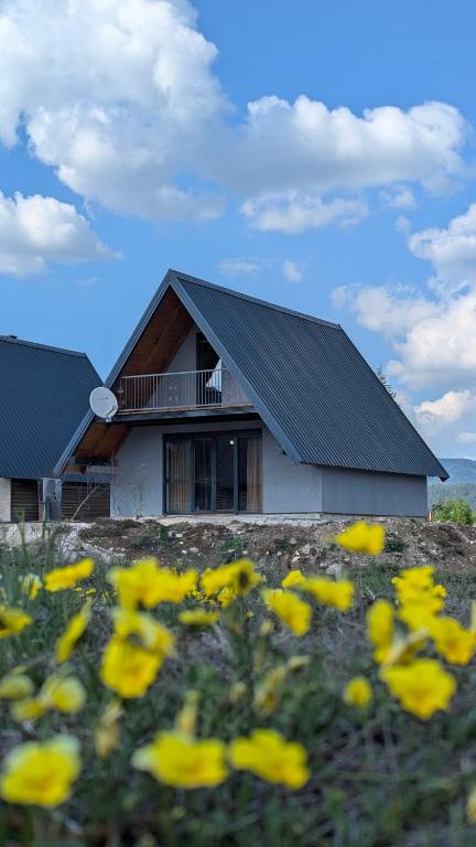 Vila Luca - B&B Žabljak