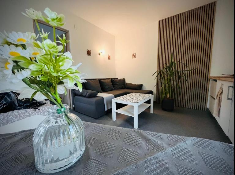 Mozaik Apartman - B&B Kalocsa