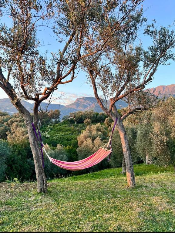 Whisper of Olives - 5 Min Drive to the Old Town, Bar - Bed and Breakfast Bar