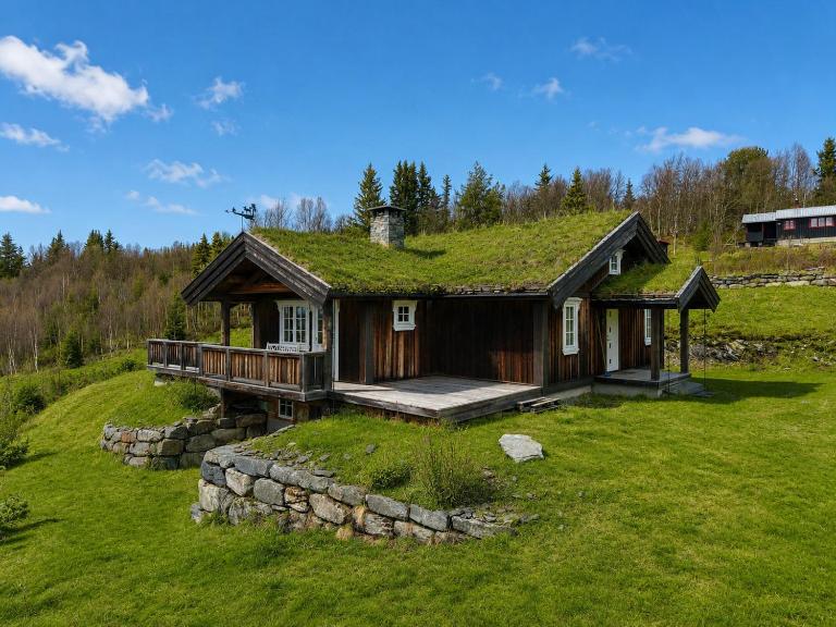 Cosy mountain cabin in Golsfjellet - B&B Gol