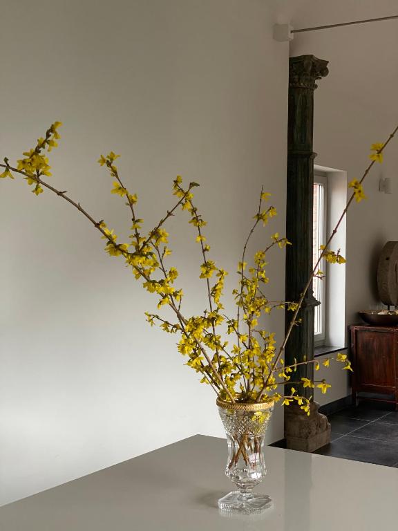 Kirisavan Loft - B&B Borgloon
