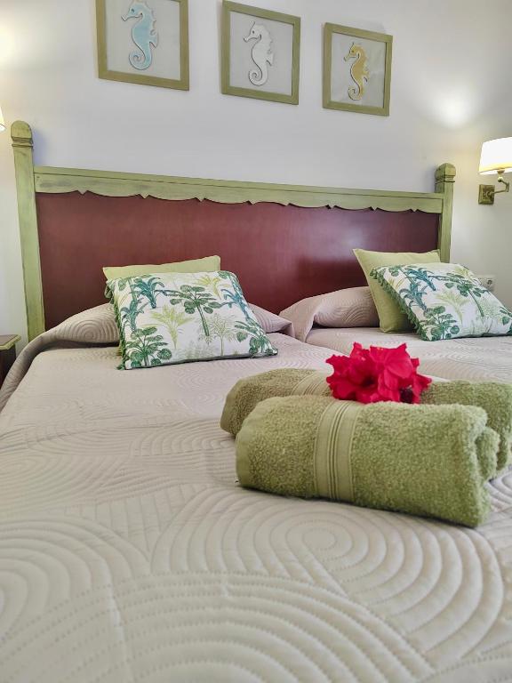 Tamarindo 63, dunes and sun - Ferienwohnung Corralejo