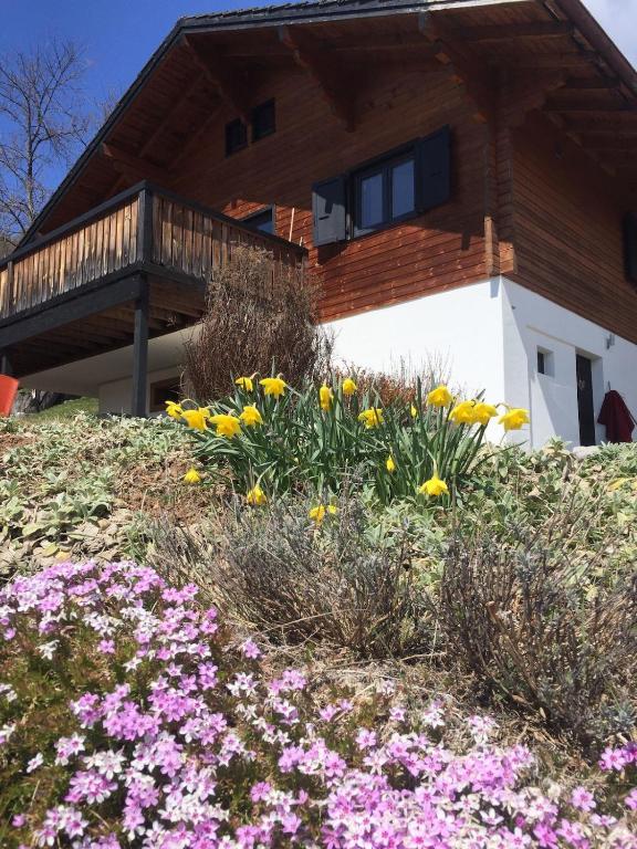 Cozy chalet with panoramic views in Leysin - B&B Leysin