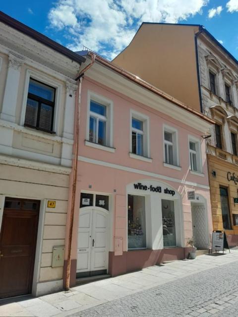 Apartmán Růženka Písek - B&B Písek