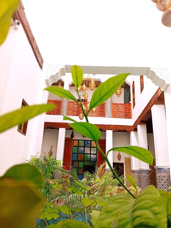 Riad elinor - B&B Fes