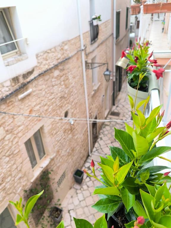 Corte Stella - B&B Conversano