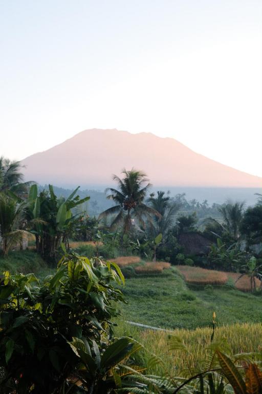 Embun Pagi Homestay And Spa - Bed and Breakfast Sidemen