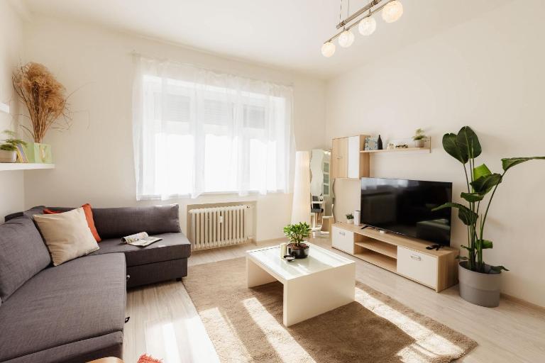Vintage Apartment next to Bratislava Castle - Bed and Breakfast Bratislava