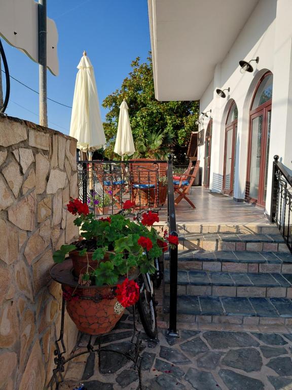 Villa Camellia - B&B Vrasná