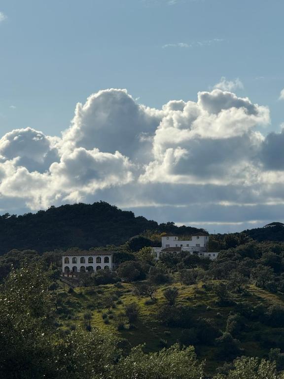 Finca Jaralta de Carmen - B&B La Puebla de los Infantes
