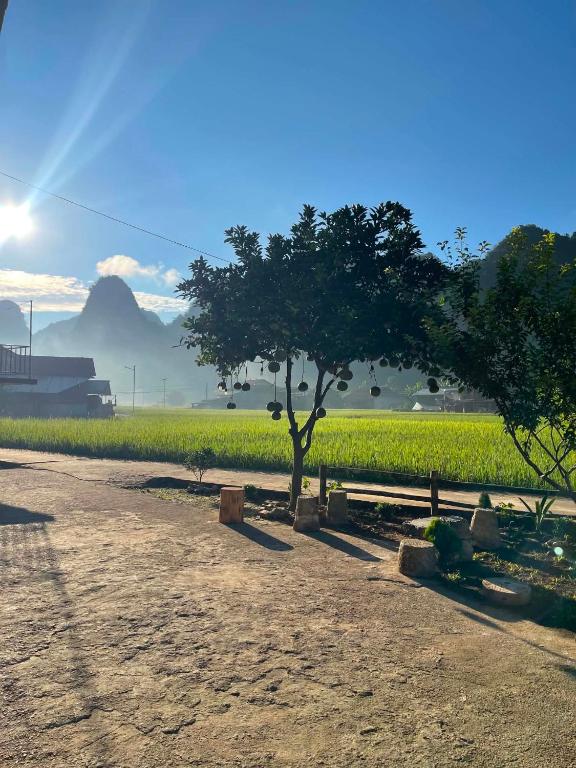 Nùng An homestay-Nùng ethnic group - B&B Bà Dương