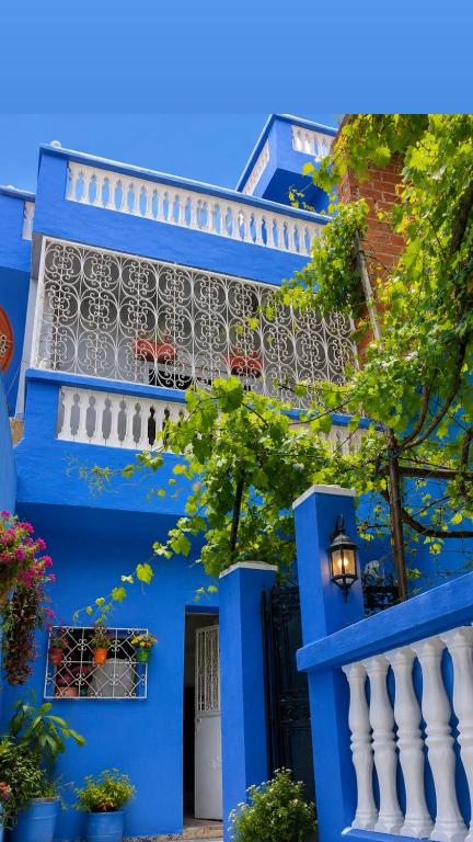 Blue Terrace Chaouen - B&B Chefchaouen