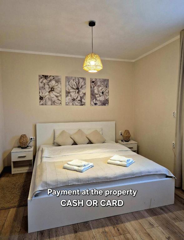 Airport Apartments Alexandra - Ferienwohnung Surčin