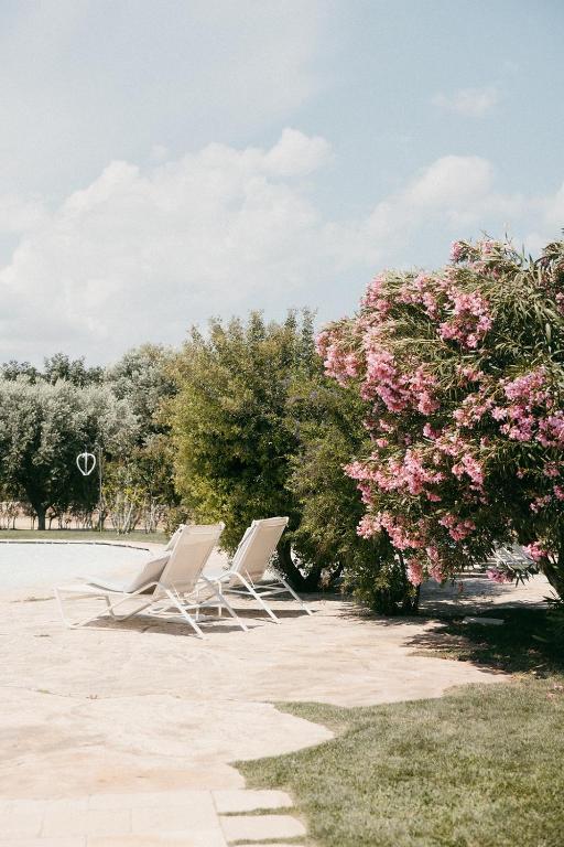 Masseria Don Luigi-Luxury Farmhouse - Chambres d'hôtes Savelletri Di Fasano