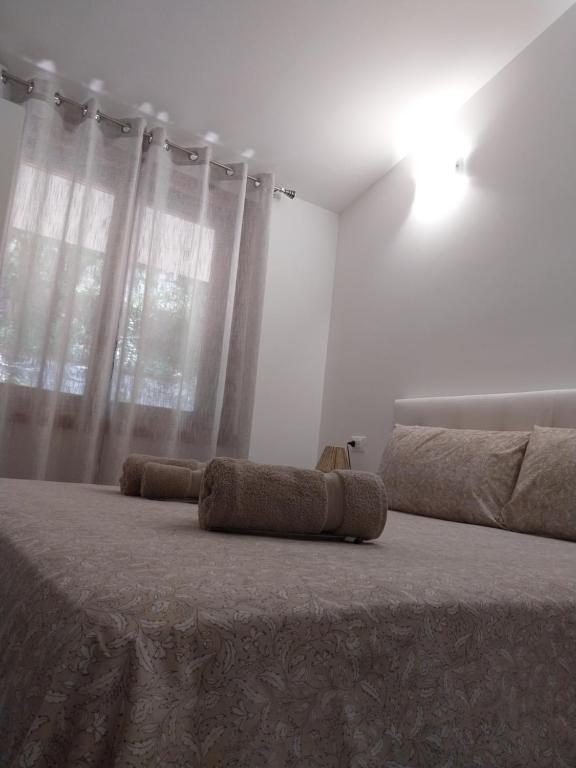 Casa delle Magnolie Valpolicella vicino Verona Free Parking - B&B Pedemonte