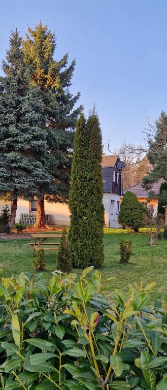 Kleines Haus am Wald, Garten, Citybahnanbindung - B&B Chemnitz