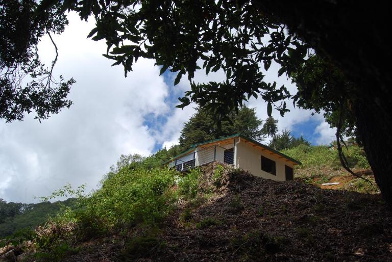 Calcopirita Stay House - B&B Rivas