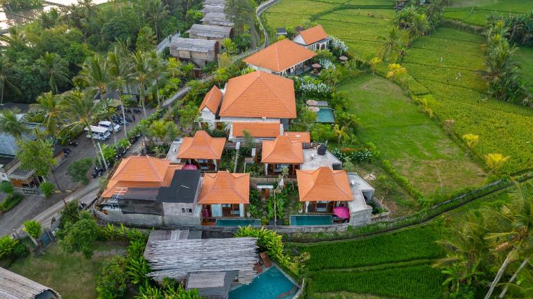 Bi Bi Bliss Ubud Villa - Bed and Breakfast Ubud