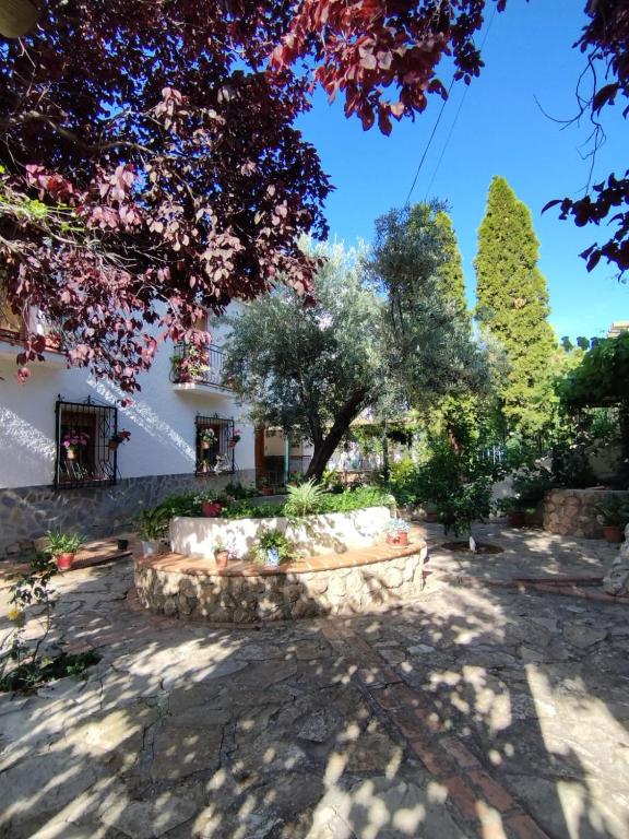 Casa Rural El Portillo - B&B Castril