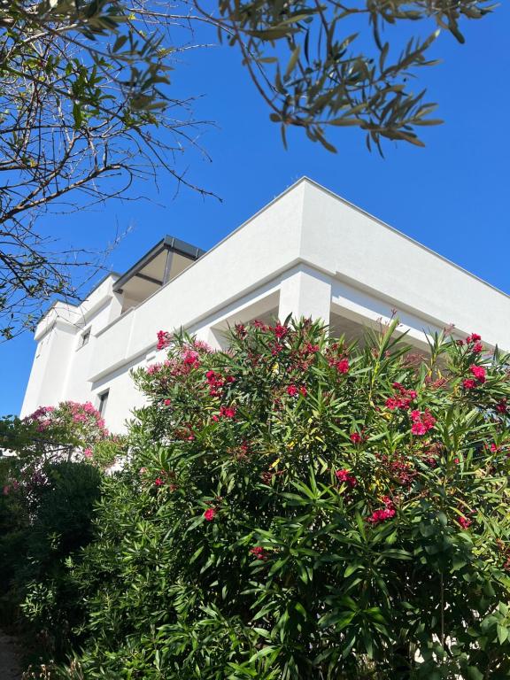 Vista Mare - B&B Vir