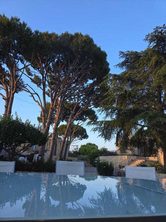 Eagles Nest Guesthouse- Grey Lily Suite - B&B Jrâne