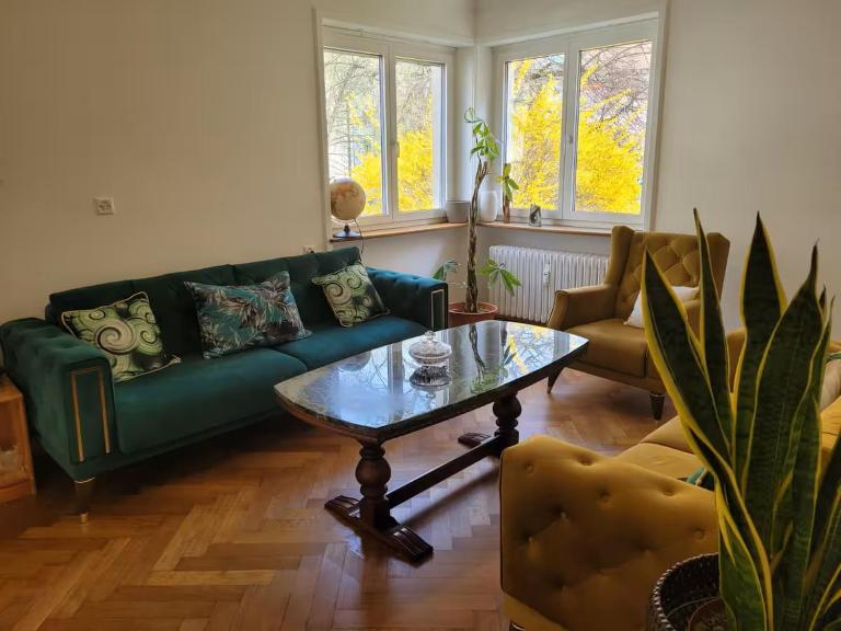 Bright, large apartment close to SBB with garage - B&B Basilea