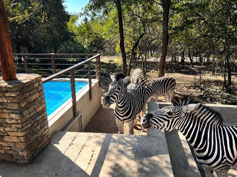 The ChaBo Lodge - B&B Marloth Park