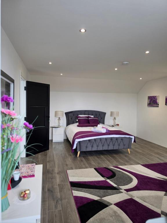 Hill Of Berries - B&B Athlone