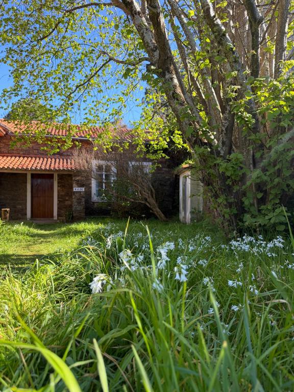 Casa Malde - Ferienwohnung Cedeira