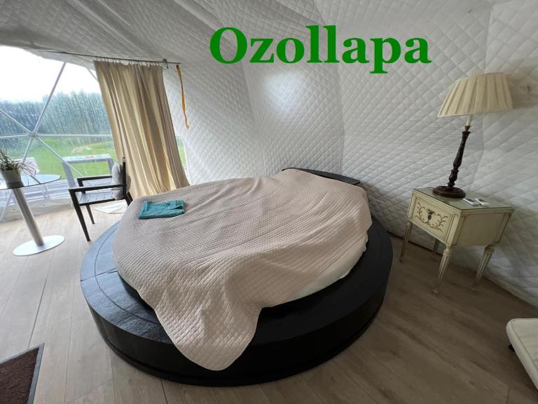 Ozols - B&B Vecpiebalga