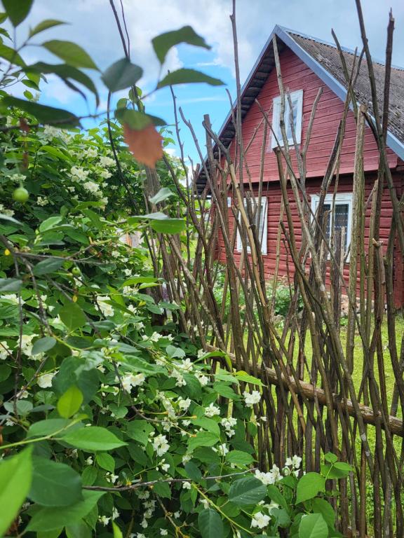 Šimtametis namelis - B&B Anykščiai