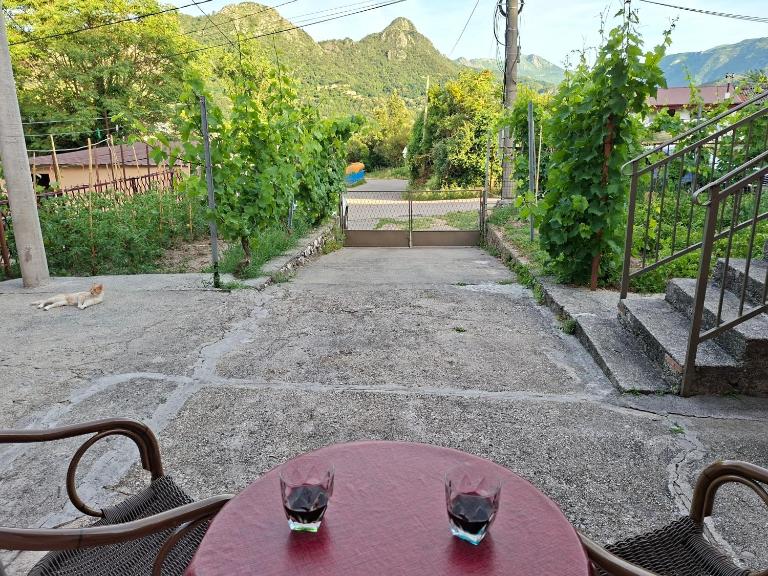 Apartman Pavle 2 - Ferienwohnung Virpazar