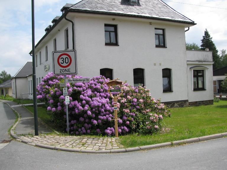 Reiterhof & Pension Lienemann - B&B Grünbach