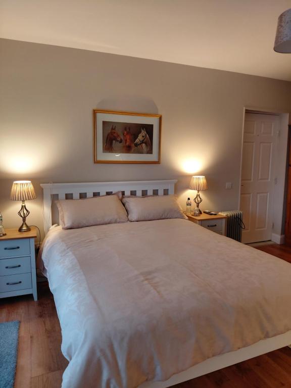 Turnpike Mews - B&B Birr