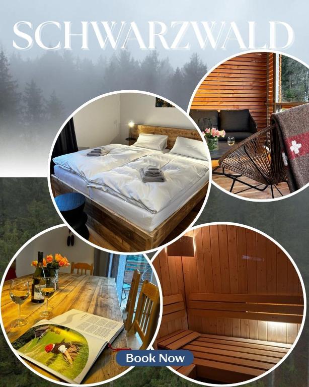 Feldberg Apartment - direkt an der Skipiste - mit Sauna - Bed and Breakfast Feldberg
