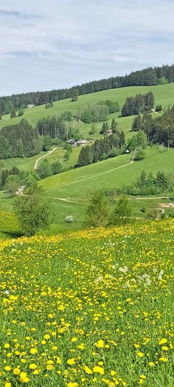 Ferienwohnung im Schwarzwald mit Blick ins Grüne und Balkon - Chambres d'hôtes Schönwald
