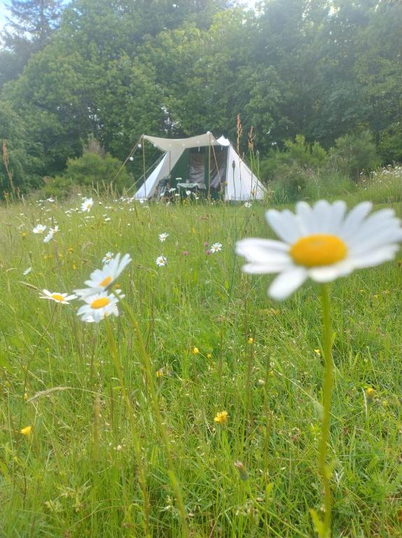 Séjour nature en tente équipée - B&B Soubrebost