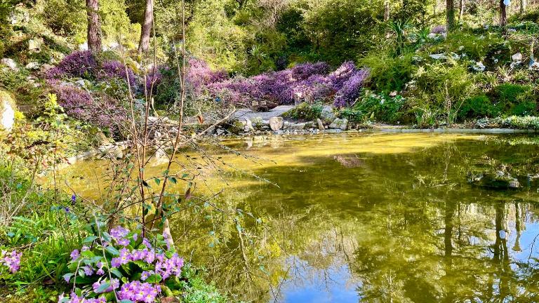 L'Autre Paradis-Piscines naturelles-Plages-Jardin enchanté-Sauna - B&B Poligny