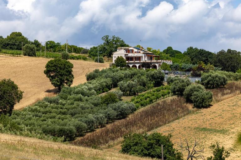 B&B Sunrise on farm - B&B Sant'Elpidio a Mare