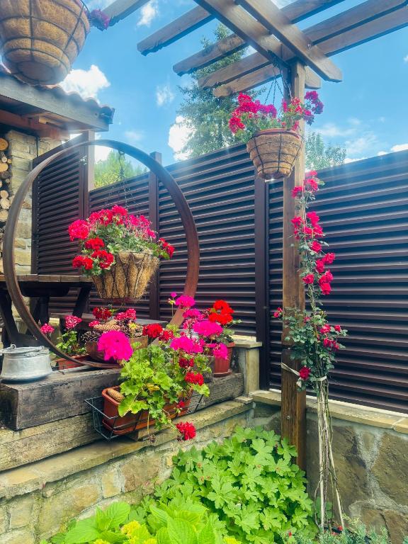 Разбойна - B&B Zheravna