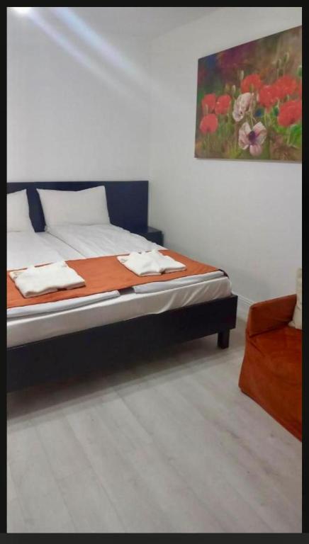 Cazare Alex - Apartamente 9 - Bed and Breakfast Băile Felix