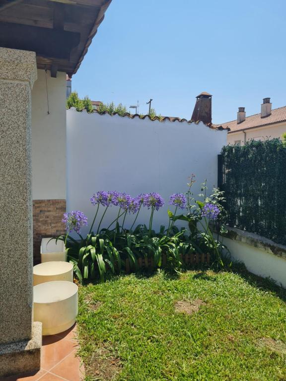 Maremonte - B&B Marín