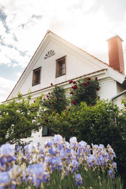 #Villavulcania - Idyllisches Gästehaus - B&B Ilz