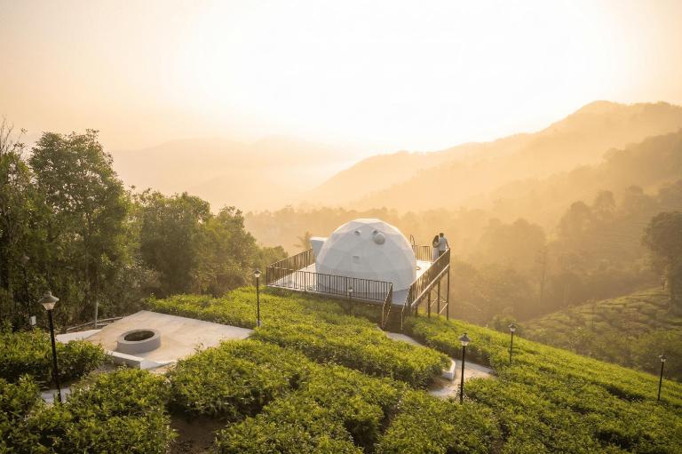 Willostays Luxury Glamping vagamon - B&B Vagamon