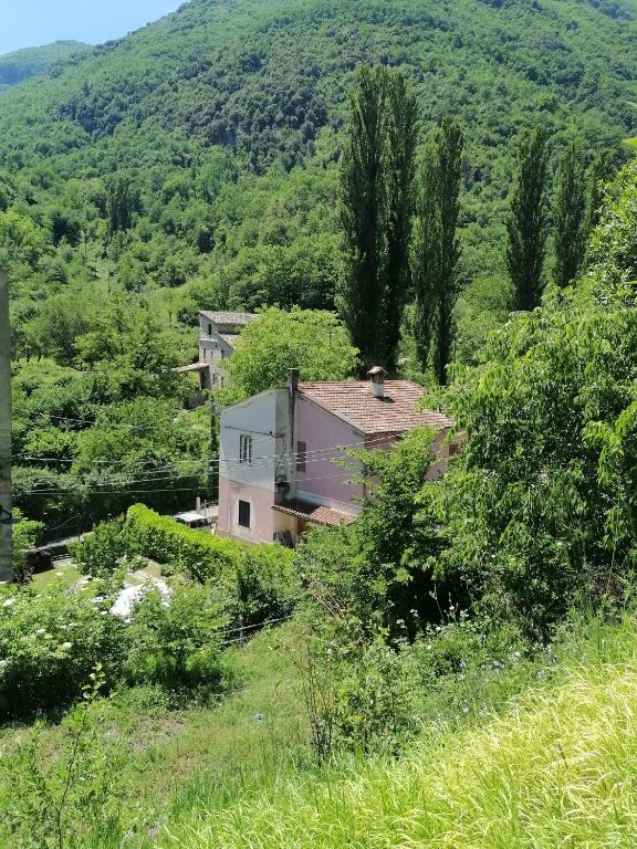 La Raccolta - B&B Scheggino