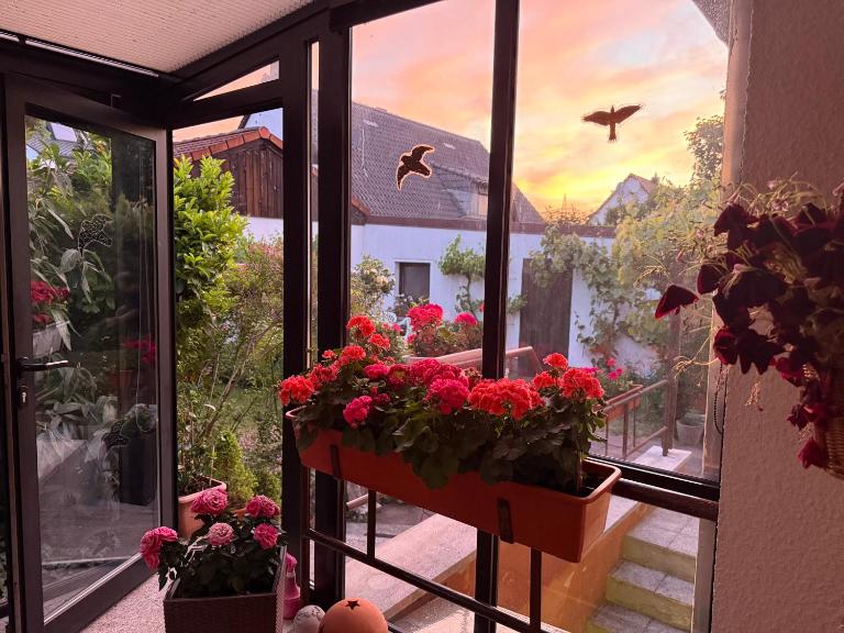 Charming, bright family home with conservatory - B&B Nuremberg