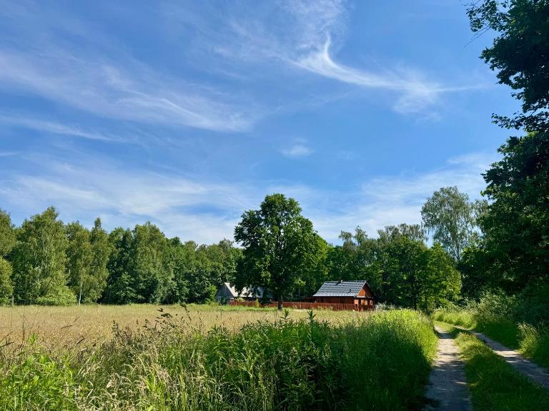 Między łąką a lasem - B&B Żdżar