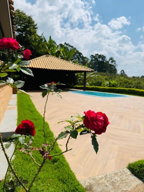 Sítio Quinta Vista São João del-Rei - B&B São João del Rei