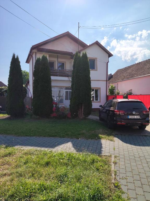 Green Thuja House - Bed and Breakfast Făgăraș